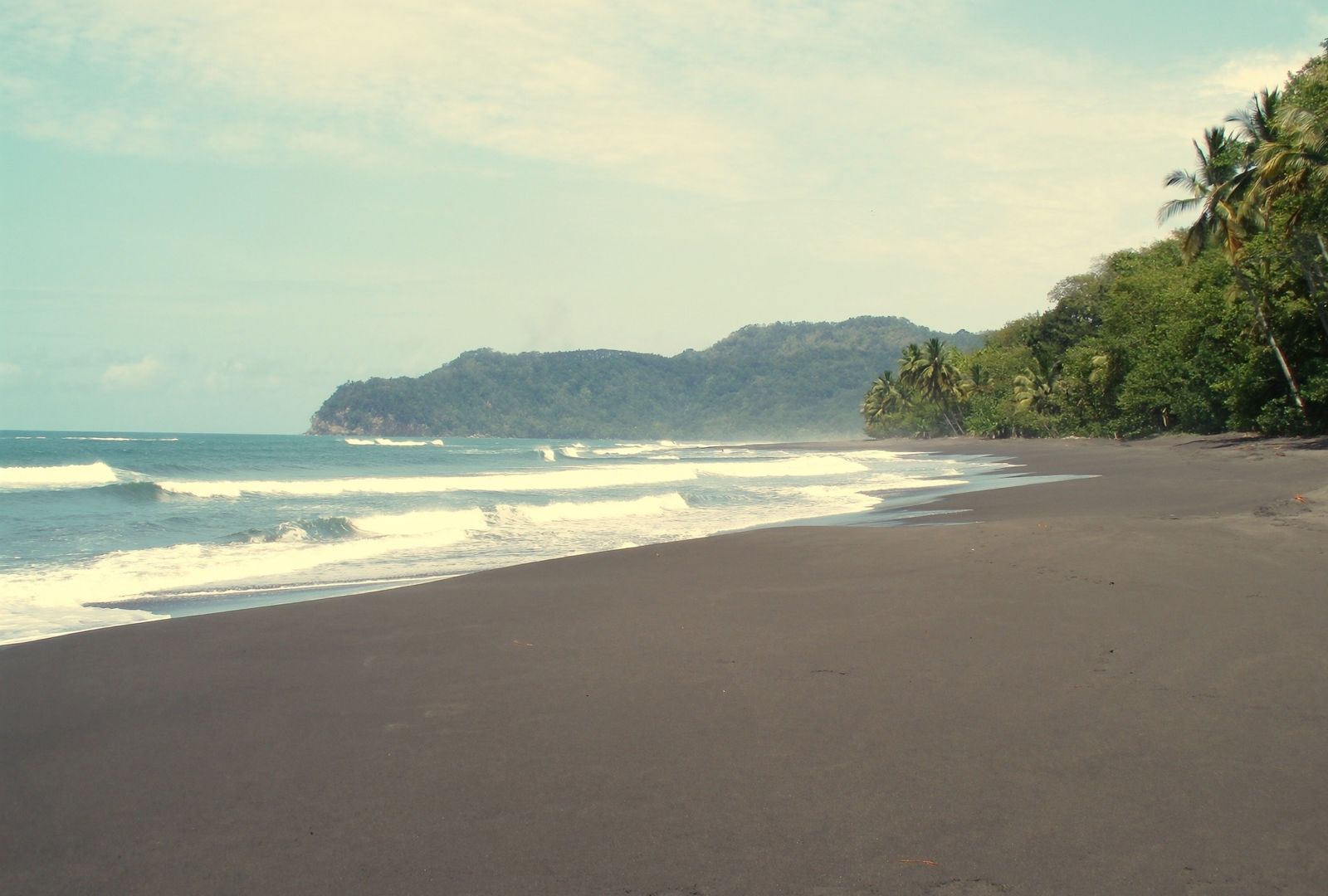 Playa larga de arena oscura con el oleaje rompiendo en líneas paralelas, palmeras sobre la orilla y una punta boscosa cerrando la bahía entre la bruma
