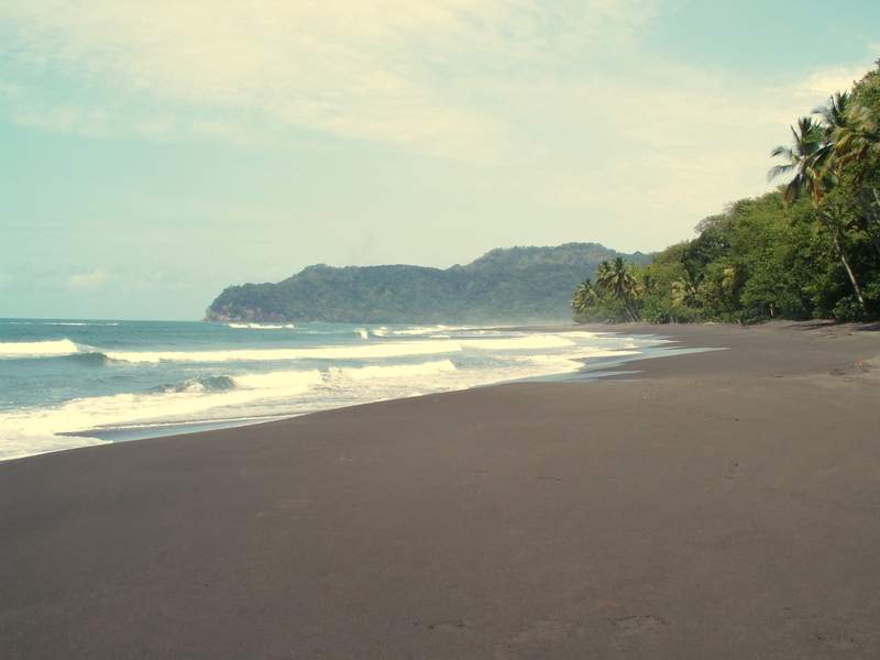 Playa larga de arena oscura con el oleaje rompiendo en líneas paralelas, palmeras sobre la orilla y una punta boscosa cerrando la bahía entre la bruma
