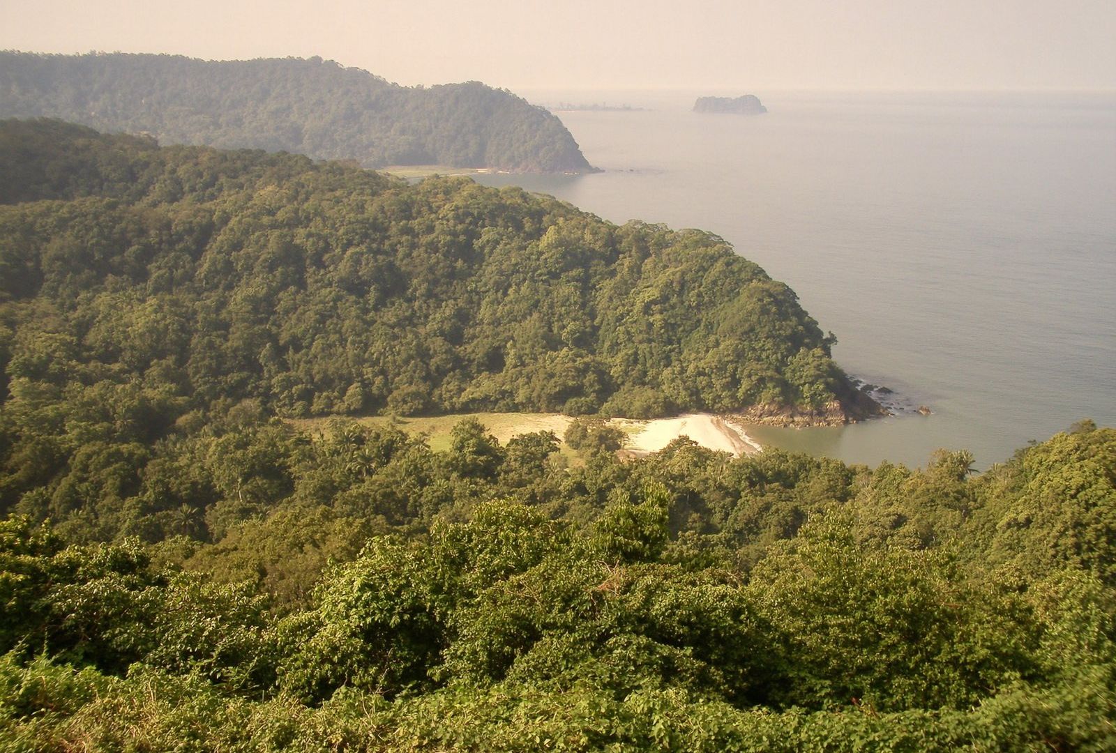 Punta cubierta de selva que baja hasta una playa de arena clara, vista desde un mirador alto sobre el Pacífico entre neblina