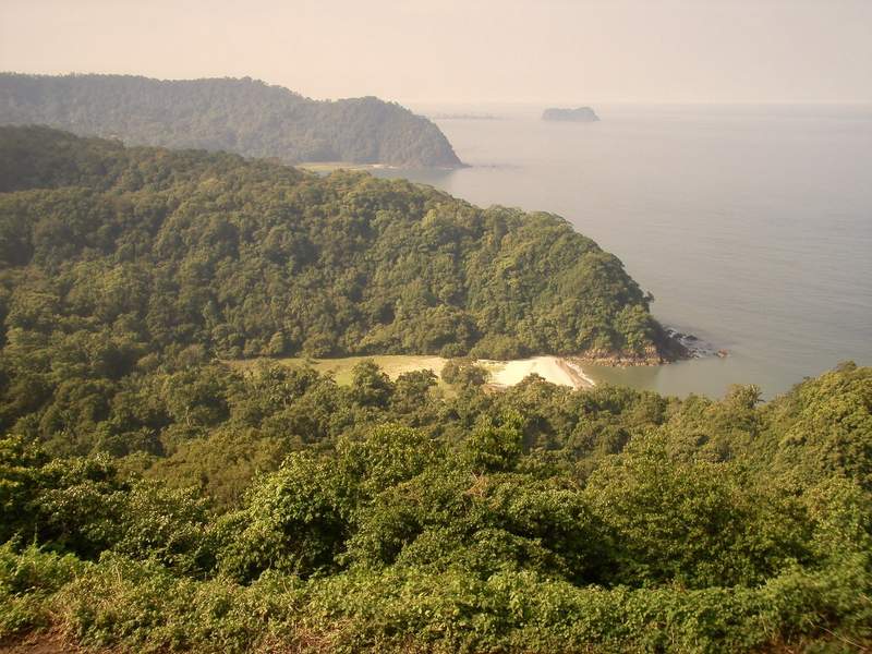 Punta cubierta de selva que baja hasta una playa de arena clara, vista desde un mirador alto sobre el Pacífico entre neblina