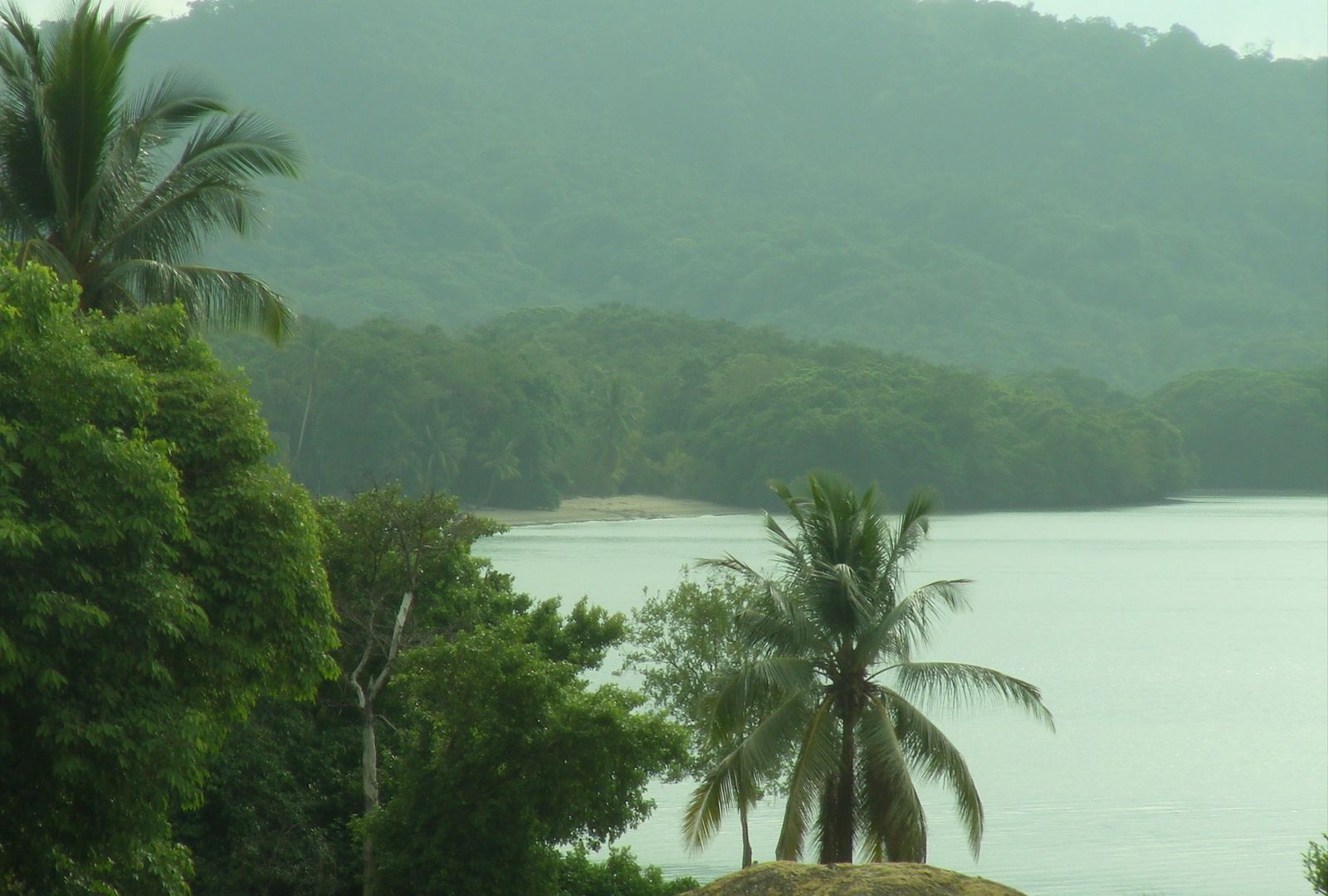 Orilla de selva y palmeras sobre un golfo de agua mansa, con montañas boscosas difuminadas por la humedad al otro lado