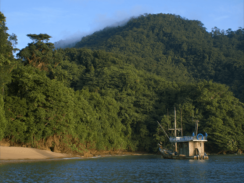 Bote de pesca anclado en una caleta de Quepos, con la selva bajando hasta el agua