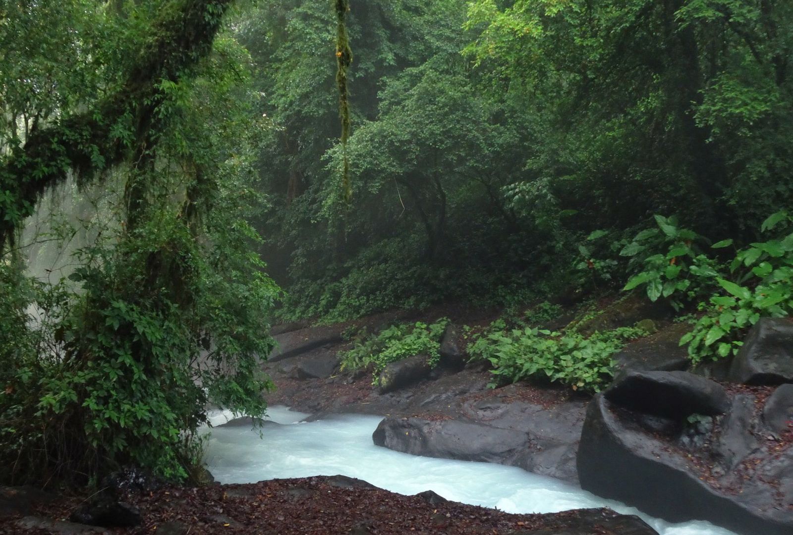 Quebrada de agua azulada por minerales en suspensión corriendo entre rocas oscuras y paredes de selva húmeda cubiertas de musgo