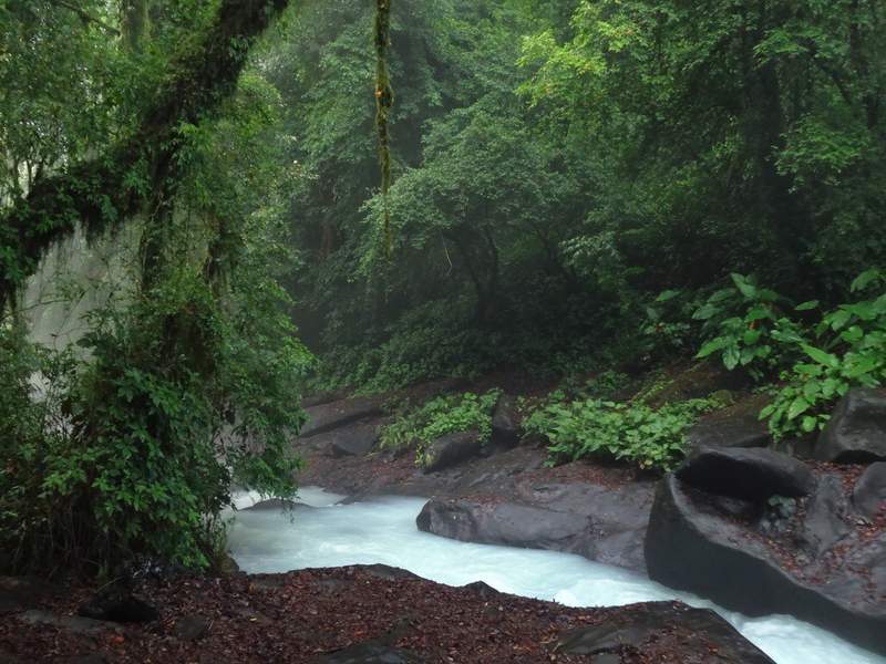 Quebrada de agua azulada por minerales en suspensión corriendo entre rocas oscuras y paredes de selva húmeda cubiertas de musgo