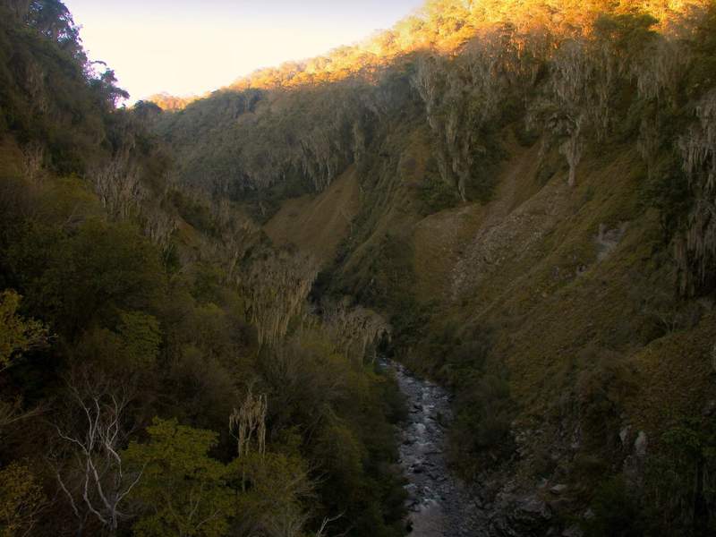 Valle angosto de montaña con un río frío en el fondo y laderas de bosque de robles cubierto de musgo, con el sol pegando en la cresta
